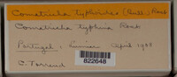 Image Associated With the Occurence